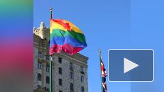 Посольство Великобритании в России вывесило в окнах флаг ЛГБТ