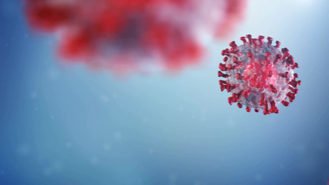 За сутки в РФ подтверждены почти пять тысяч случаев заражения коронавирусом