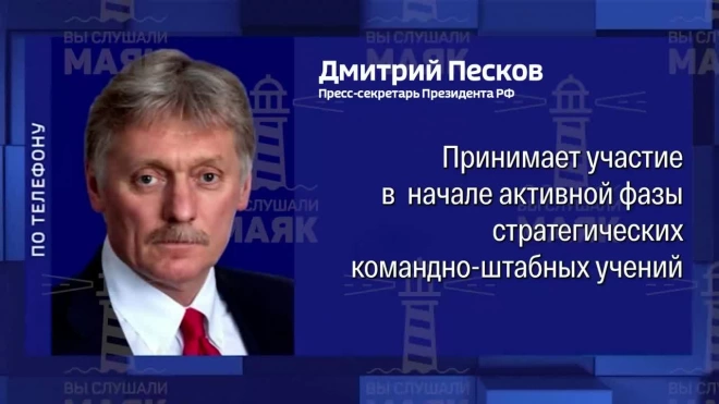 Песков: Путин во вторник будет наблюдать за активной фазой учений "Океан-2024"