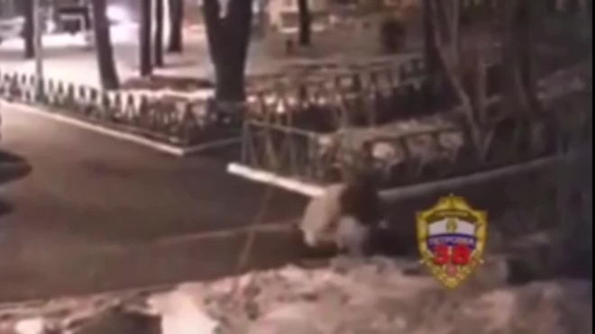 Видео: В Москве пенсионерку жестко избил мужчина с собакой