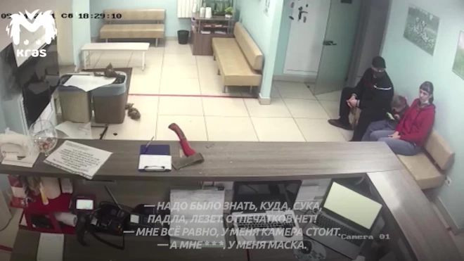 Мужчина разгромил ветклинику топором из-за смерти собаки в Красноярске