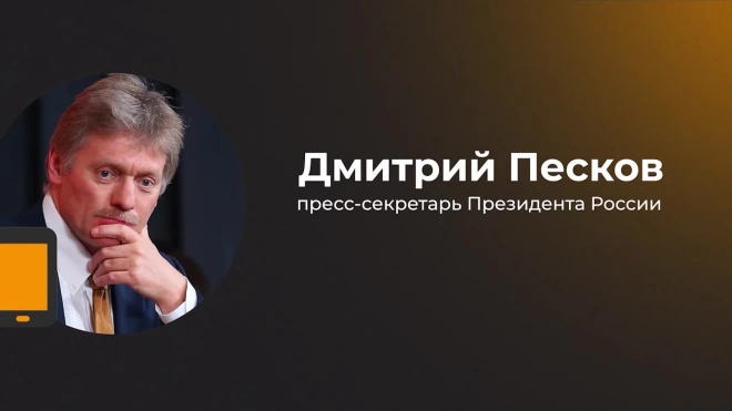 Песков заявил, что Россия развивает конструктивные отношения со странами Африки