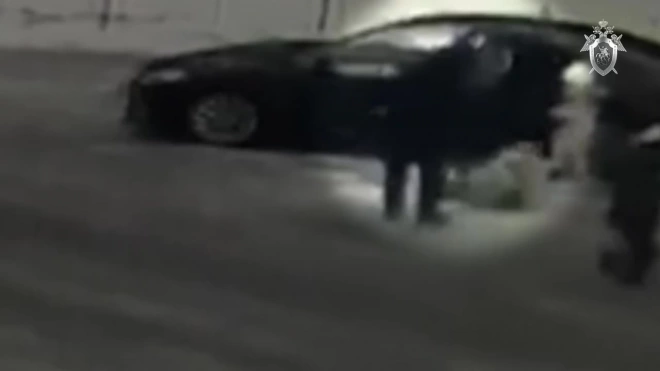 Попытка убийства мужчины на глазах у ребёнка на Выборгском шоссе попала на видео