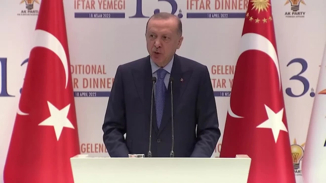 Эрдоган: Турция ожидает от ЕС конкретных шагов для членства в союзе