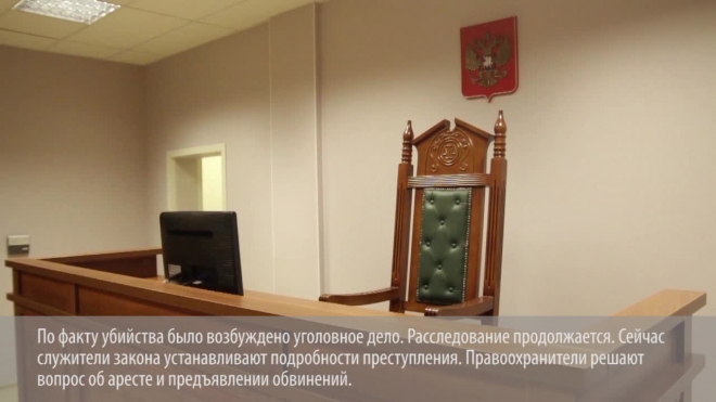 Полиция Петербурга поймала рецидивиста, изрезавшего пьяного соперника в вебкам-студии