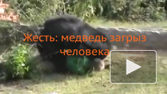 Жесть: медведь загрыз насмерть человека