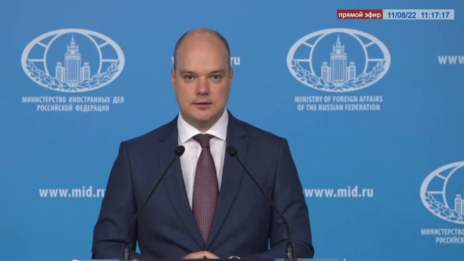 Россия призвала Молдавию пересмотреть политику по ограничению прав и свобод граждан