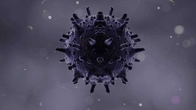 Установлена подавляющая коронавирус влажность воздуха