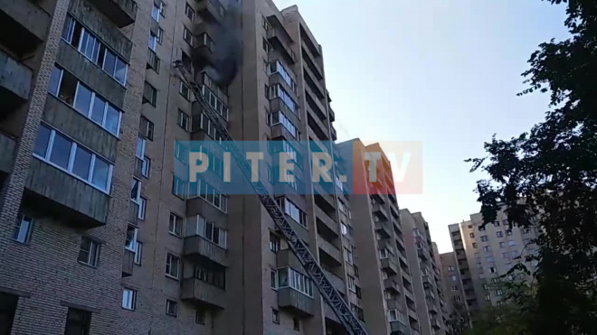 Пожарные спасают петербуржцев из горящей квартиры на Морской набережной