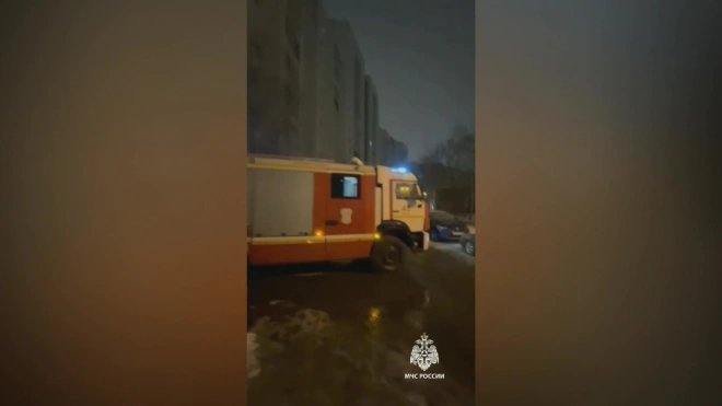 На пожаре в Казани погибли два человека