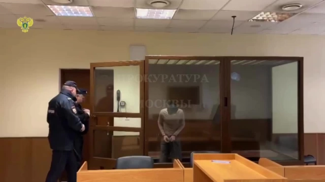 Обвиняемого в убийстве матери и бабушки в Москве взяли под стражу