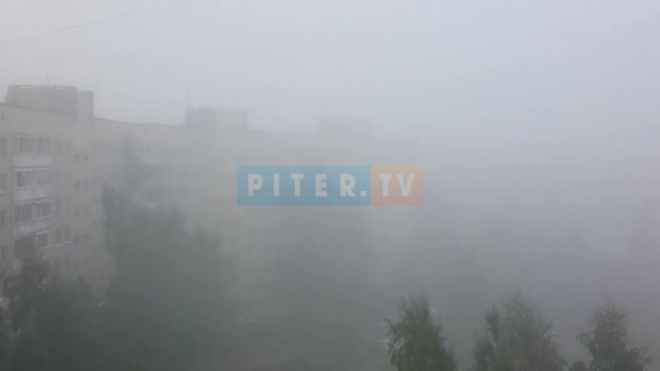 Утром 3 сентября Санкт-Петербург накрыл туман: днем ожидается до плюс 23
