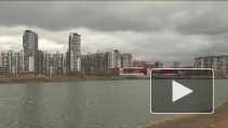 Экология в большом городе