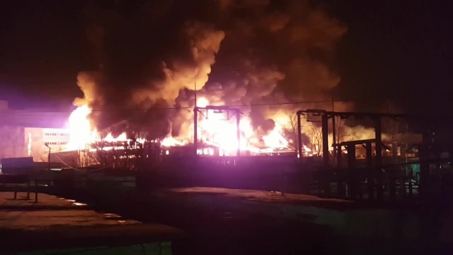 Очевидец снял крупный пожар на складе в Подмосковье