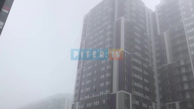 Петербургское лето закончилось туманом 