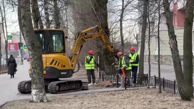 Реконструкция освещения стартовала в трех жилых кварталах Сестрорецка