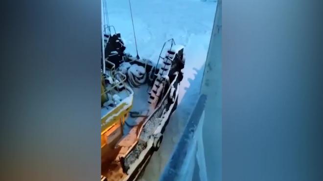 Паром "Аркадий Филатов" с пассажирами на борту пришлось вызволять из льдов в Ленобласти
