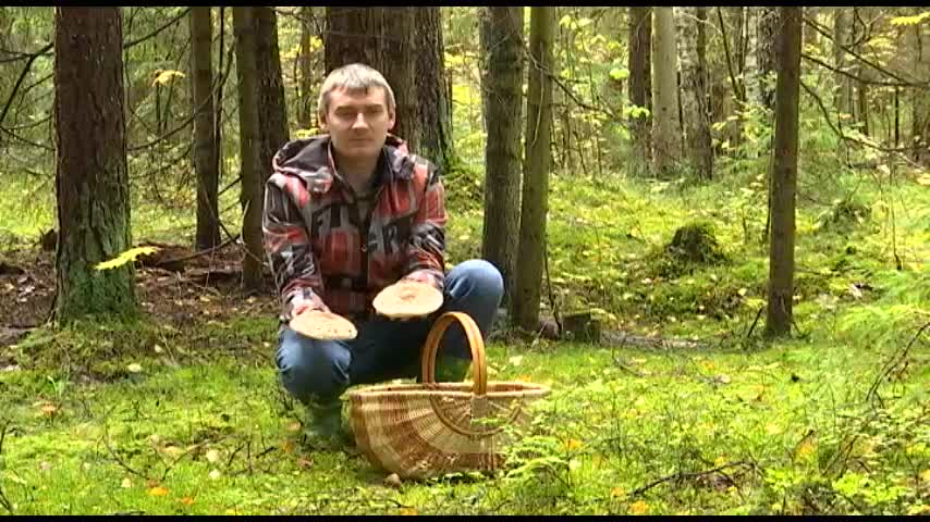Особенности тихой охоты в осенний период