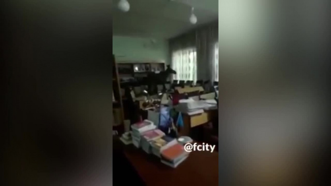 Видео: лось через окно забрался в библиотеку казахстанского колледжа 