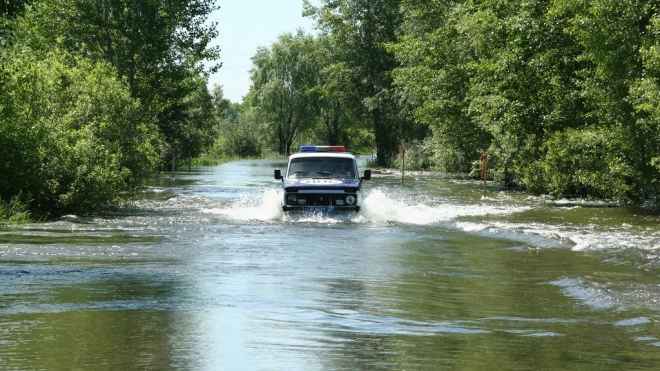 В пригороде Барнаула вода прорвала дамбу и затопила поселок Ильича