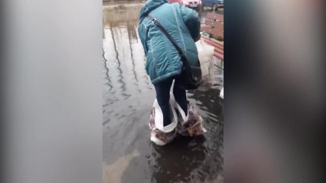 Опубликовано видео с подтопления после дождей в Тосно