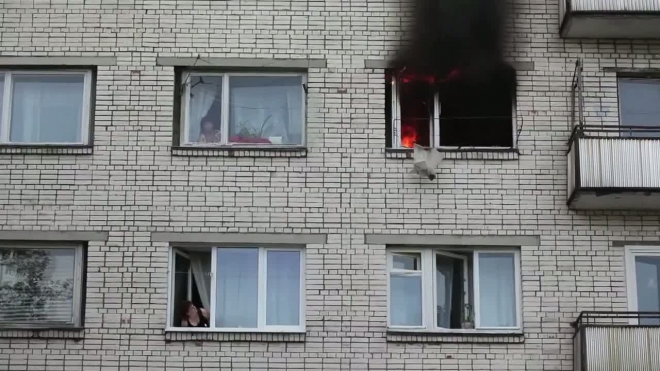 Пожар в Сосновом бору: газ взорвался, дом треснул