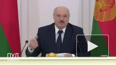 Лукашенко поручил властям Белоруссии трудоустроить "болтающихся тунеядцев"