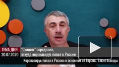 "Сколтех" определил, откуда коронавирус попал в Россию