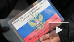 ФСБ изъяла в ходе рейда в Петербурге назаконные "мигалки" и спецпропуска