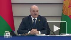 Лукашенко опроверг слухи о передаче власти в Белоруссии сыновьям