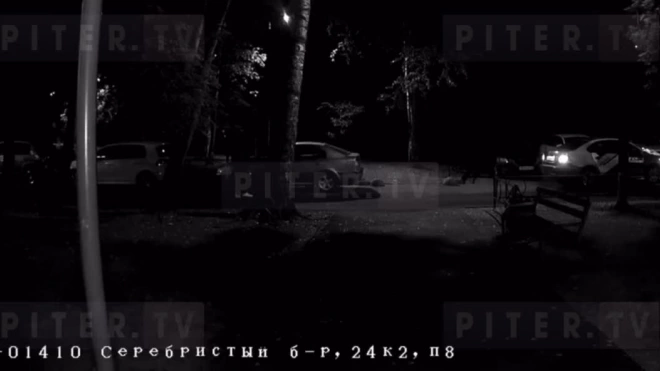 В Приморском районе Петербурга неизвестные подожгли автомобиль