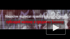 Мишустин подписал правила предоставления субсидий бизнесу