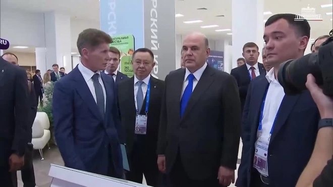 Губернатор Приморского края представил Мишустину реализуемые в регионе проекты