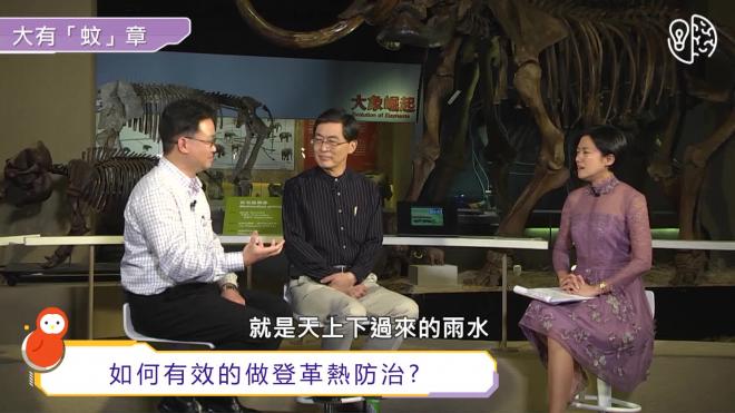 Жителей Шанхая предупредили об опасности заражения лихорадкой денге