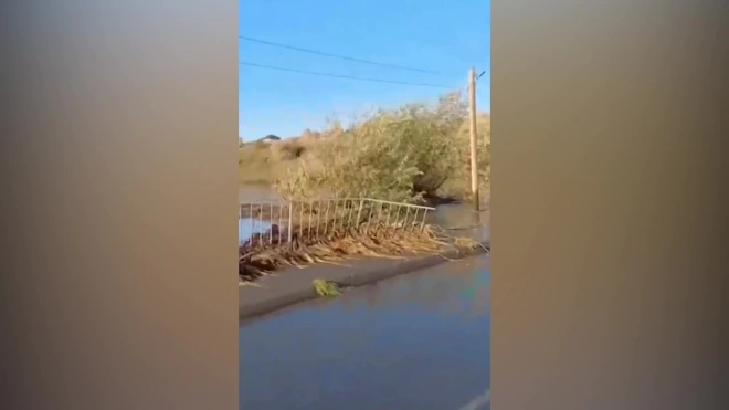 В Шелаболихинском районе Алтайского края прорвало дамбу