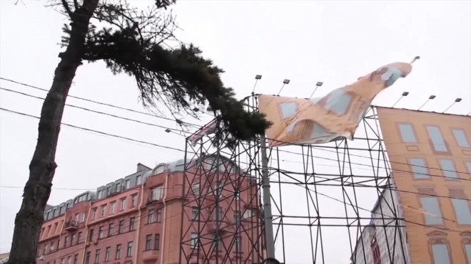 Сильный ветер будет валить деревья в Петербурге