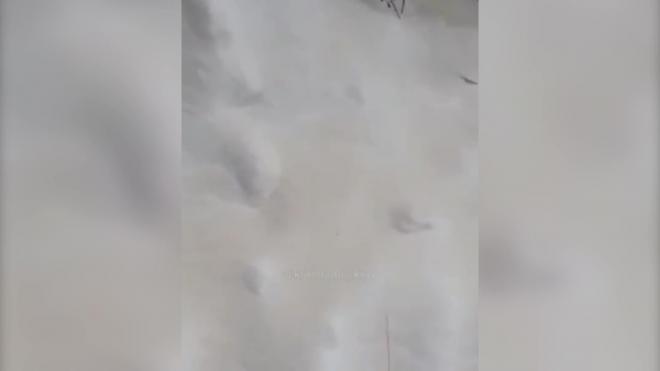 Жители российского города пожаловались на желтый снег