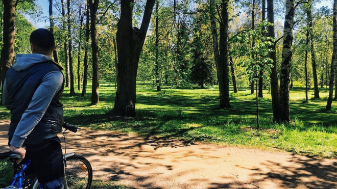 В Шуваловском парке велосипедист сбил насмерть трехлетнего малыша
