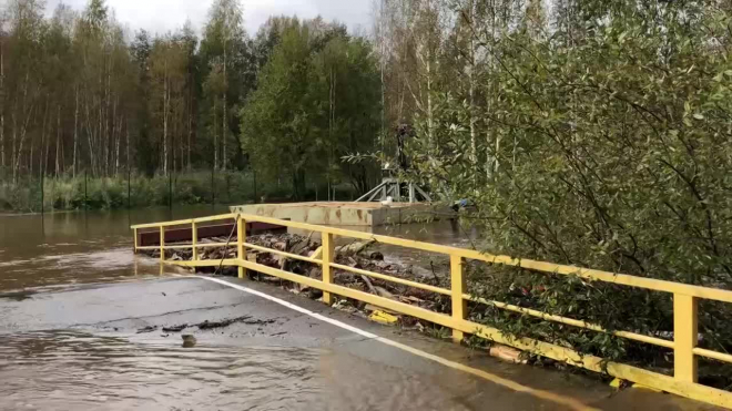 В Ленинградской области река Сестра затопила 4 садоводства