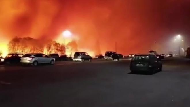 Площадь пожаров в Воронежской области выросла до более 200 га
