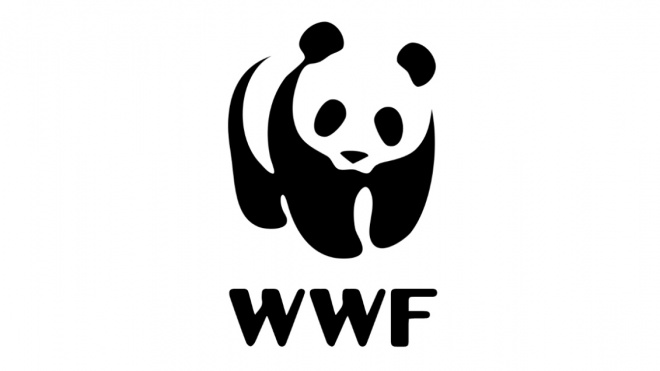 WWF назвал 6 видов животных России, находящихся под угрозой исчезновения