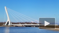 Власти Петербурга согласовали митинг против «моста Кадырова»