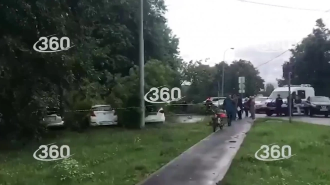 Дерево упало на автомобили в Москве