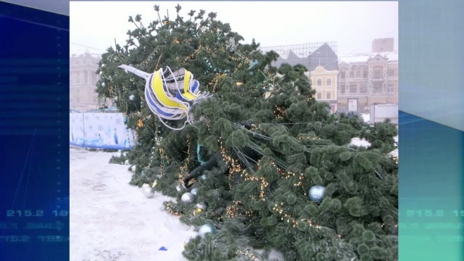 Ураган свалил главную новогоднюю елку Петрозаводска