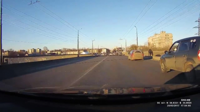В сети появилось забавное видео из Твери: собака управляет авто