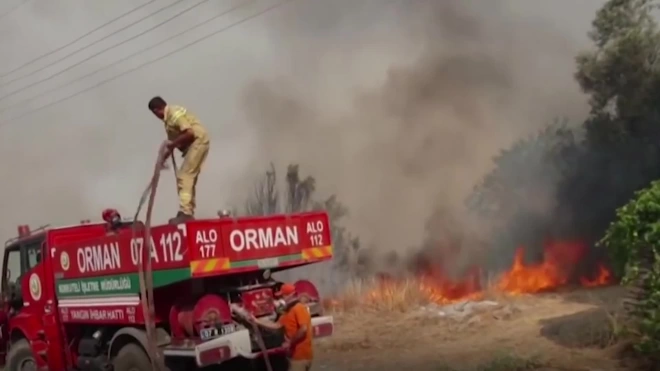 В Турции локализовали 42 очага возгорания в лесах 