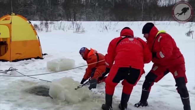 К поискам утонувшей в реке Оредеж женщины подключатся водолазы из Москвы