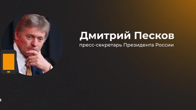 Песков прокомментировал слова Трейси на церемонии вручения верительных грамот Путину