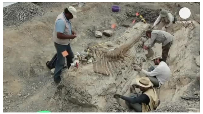 В Мексике найден хвост динозавра в отличном состоянии
