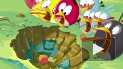 Новой версии Angry Birds на Windows Phone 7 не будет